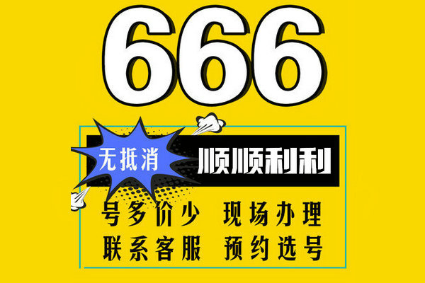 成武尾号666吉祥号