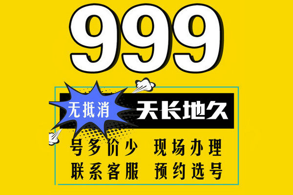 成武尾号999吉祥号