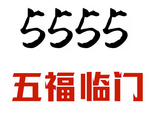 定陶尾号555吉祥号