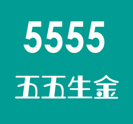 济南555手机靓号